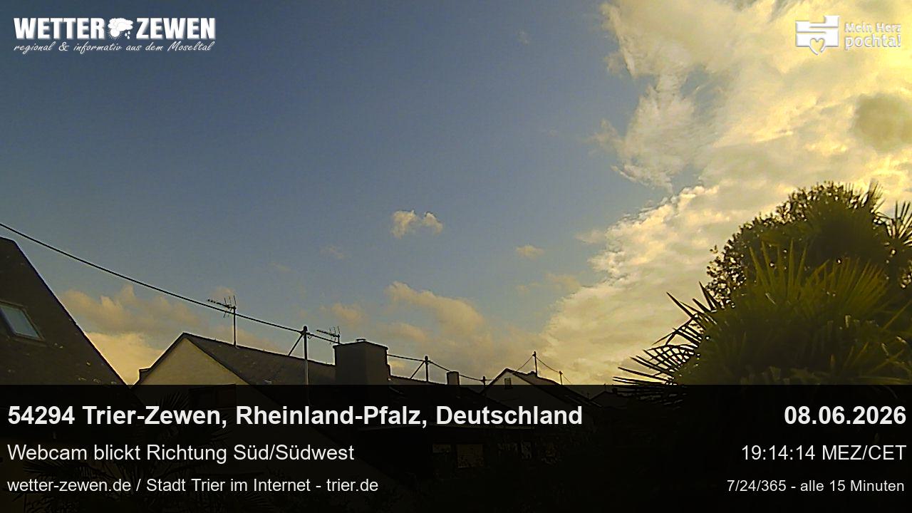 Bild