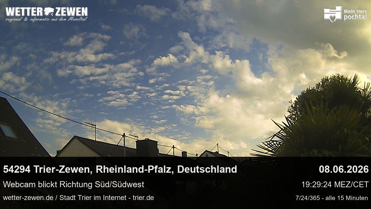 Bild