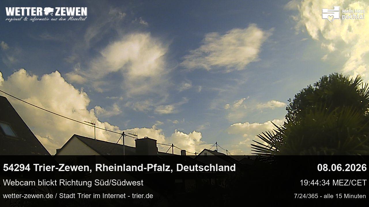 Bild