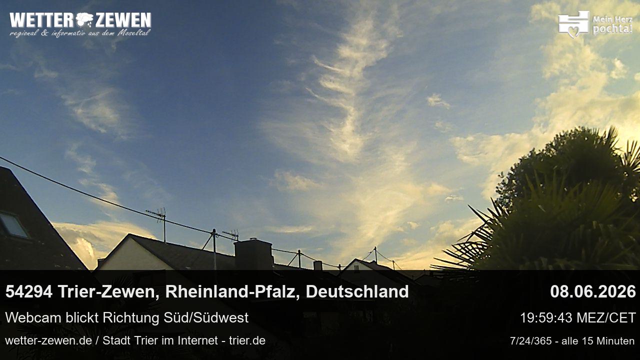 Bild