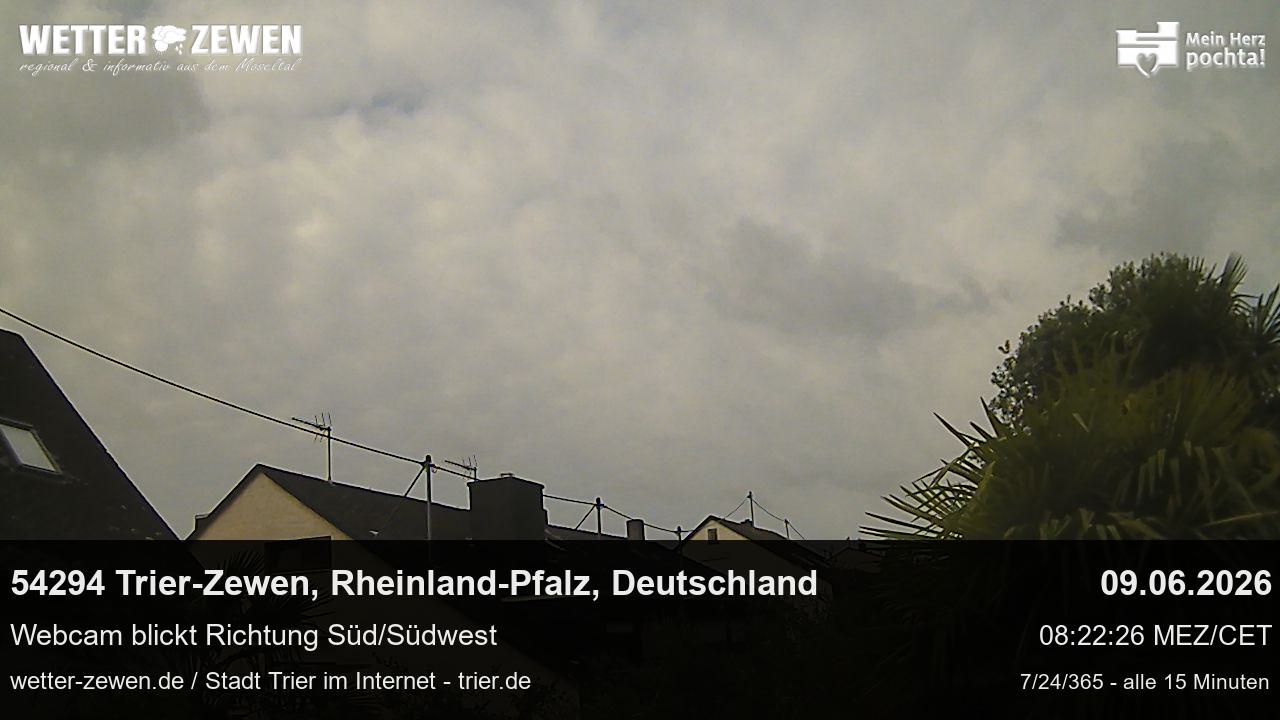 Bild