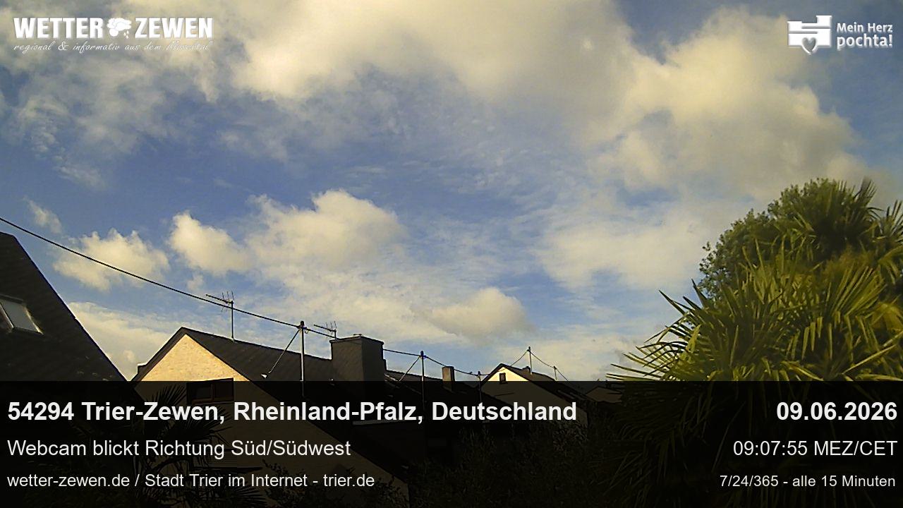 Bild
