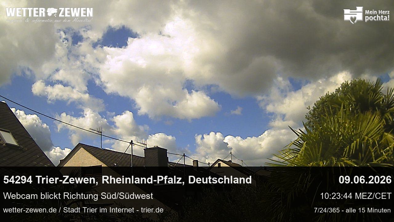 Bild