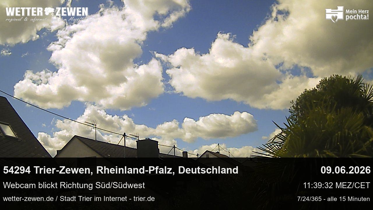 Bild