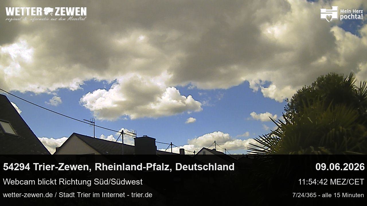 Bild