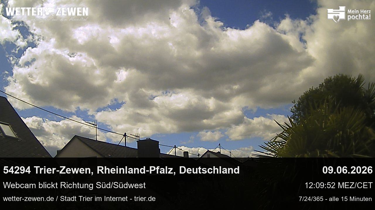 Bild
