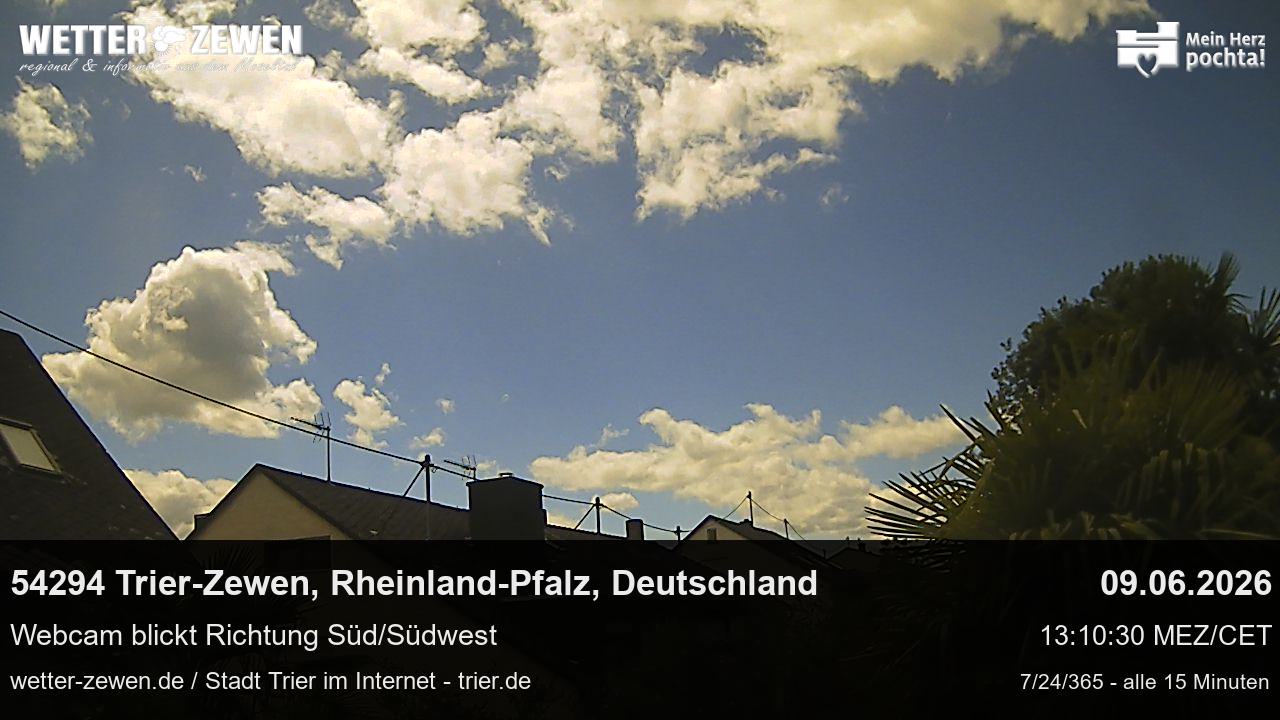 Bild