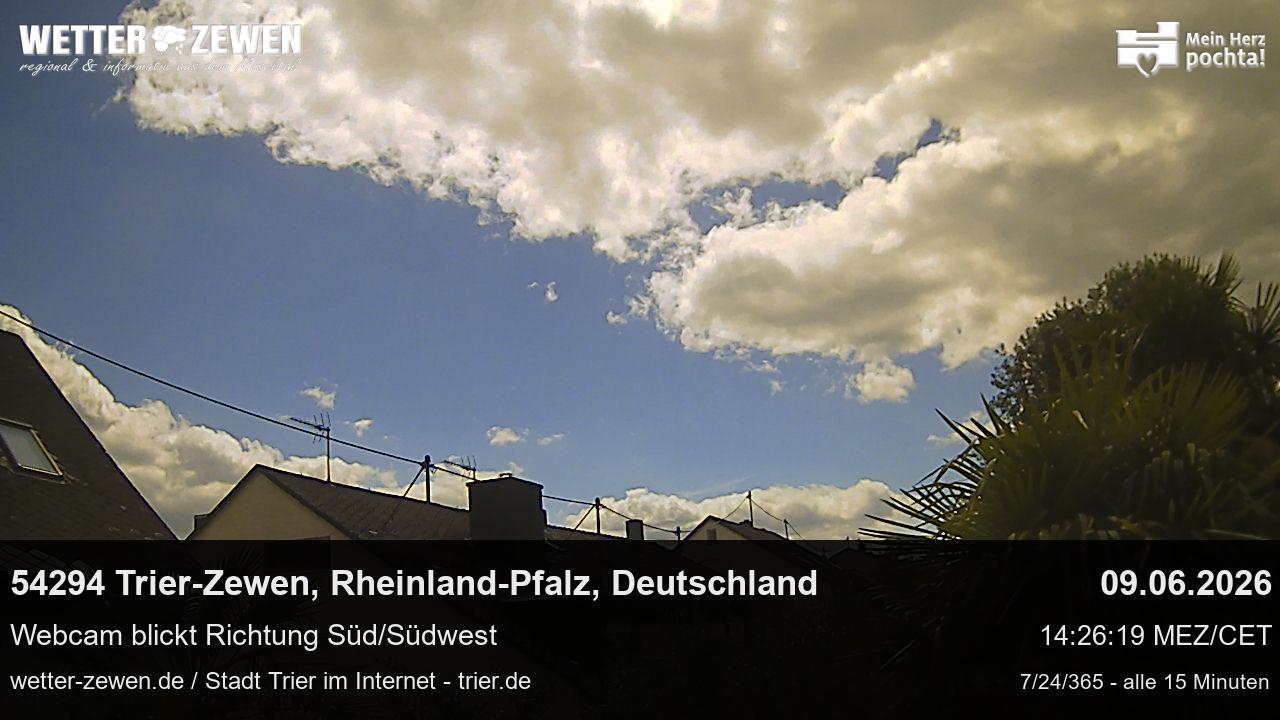 Bild