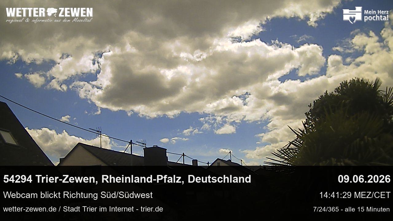 Bild
