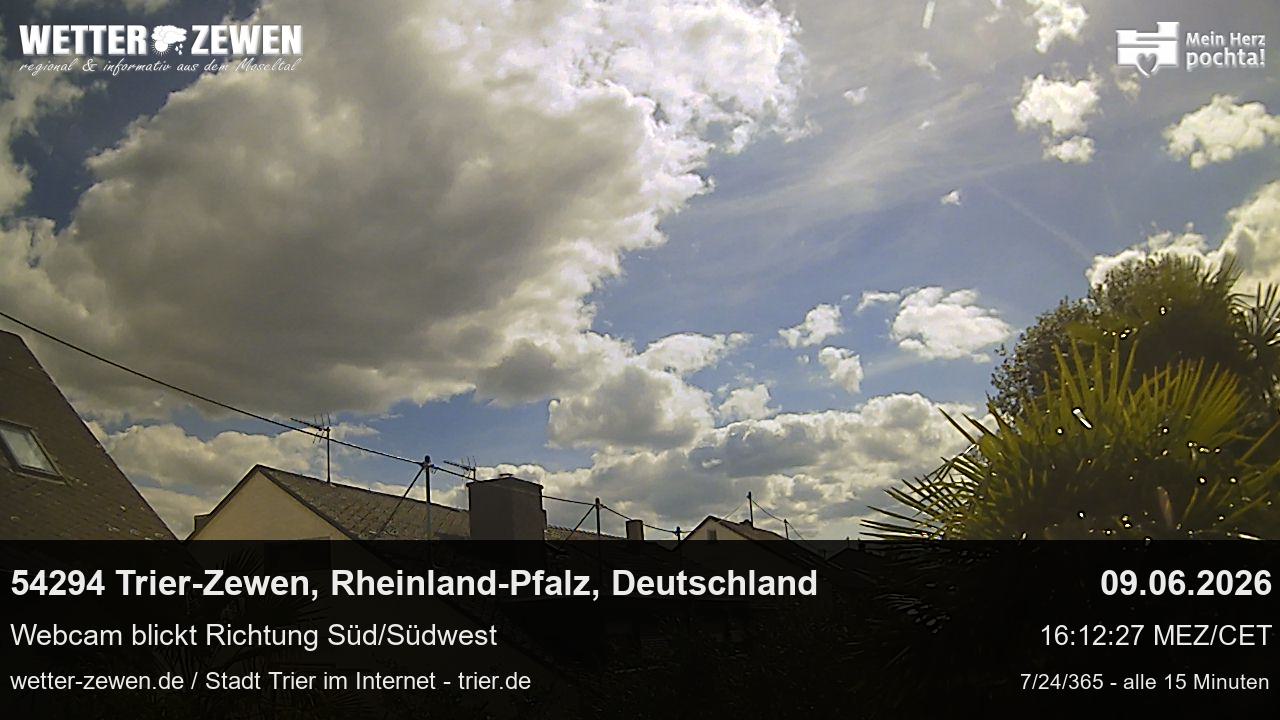 Bild