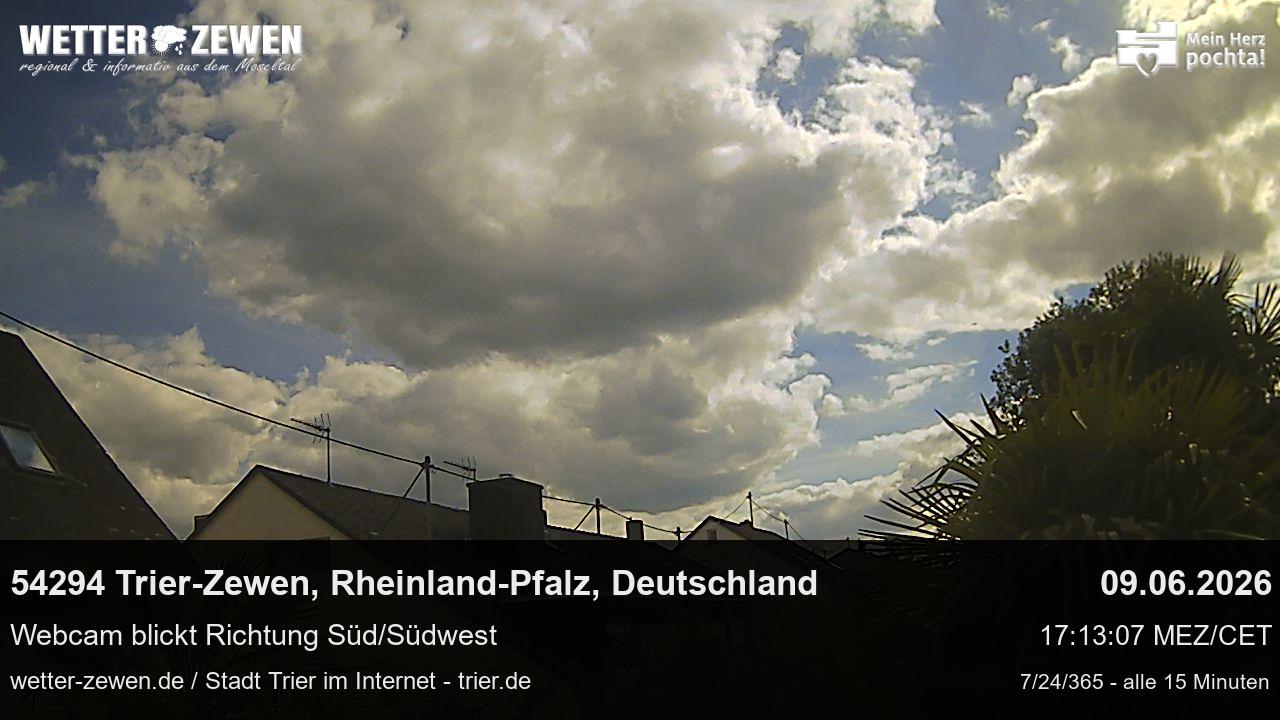 Bild