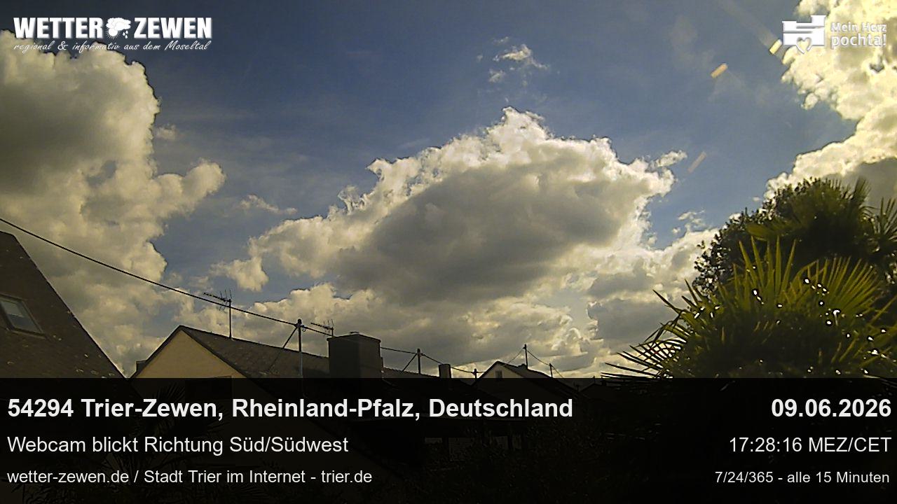 Bild