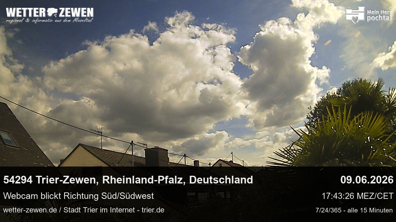 Bild