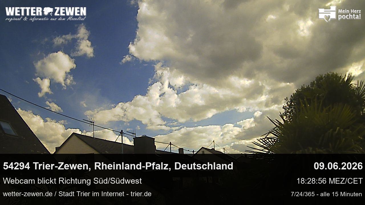 Bild