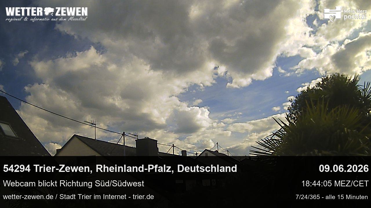 Bild