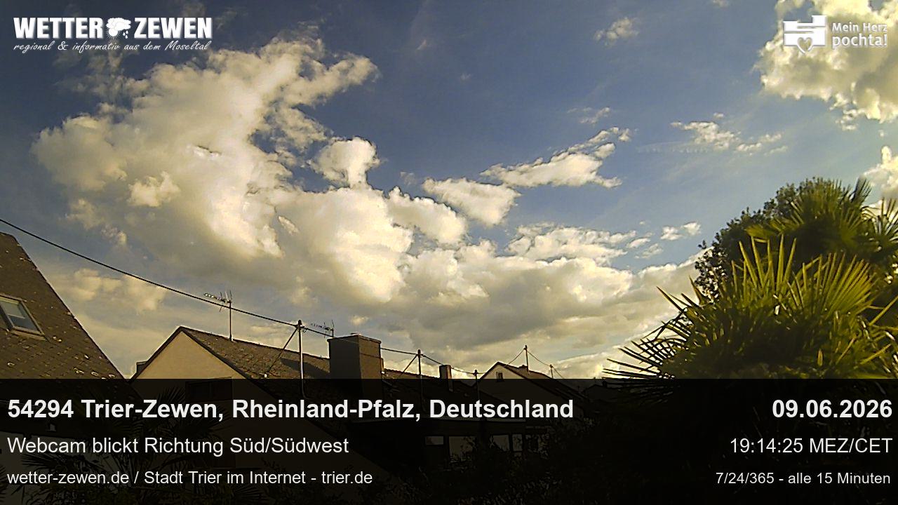 Bild