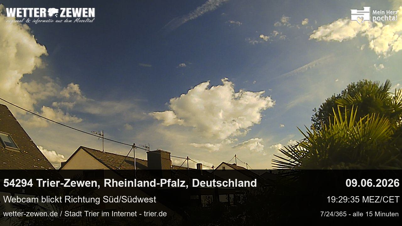 Bild