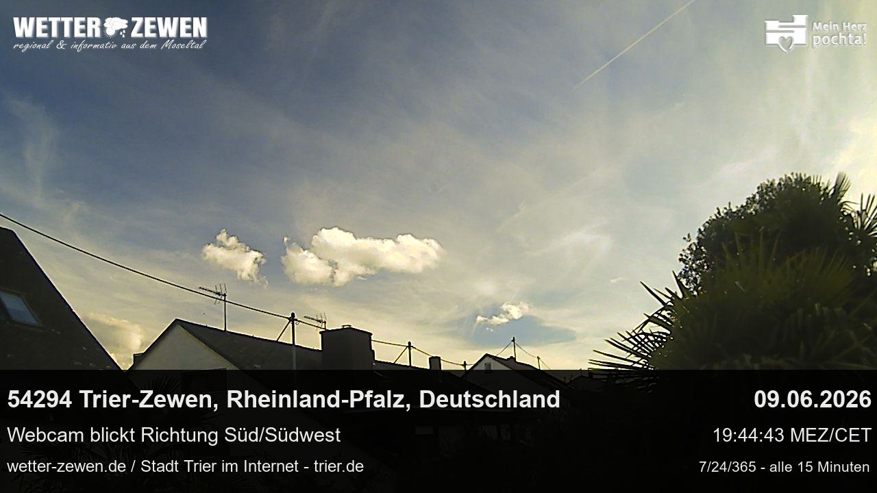 Bild