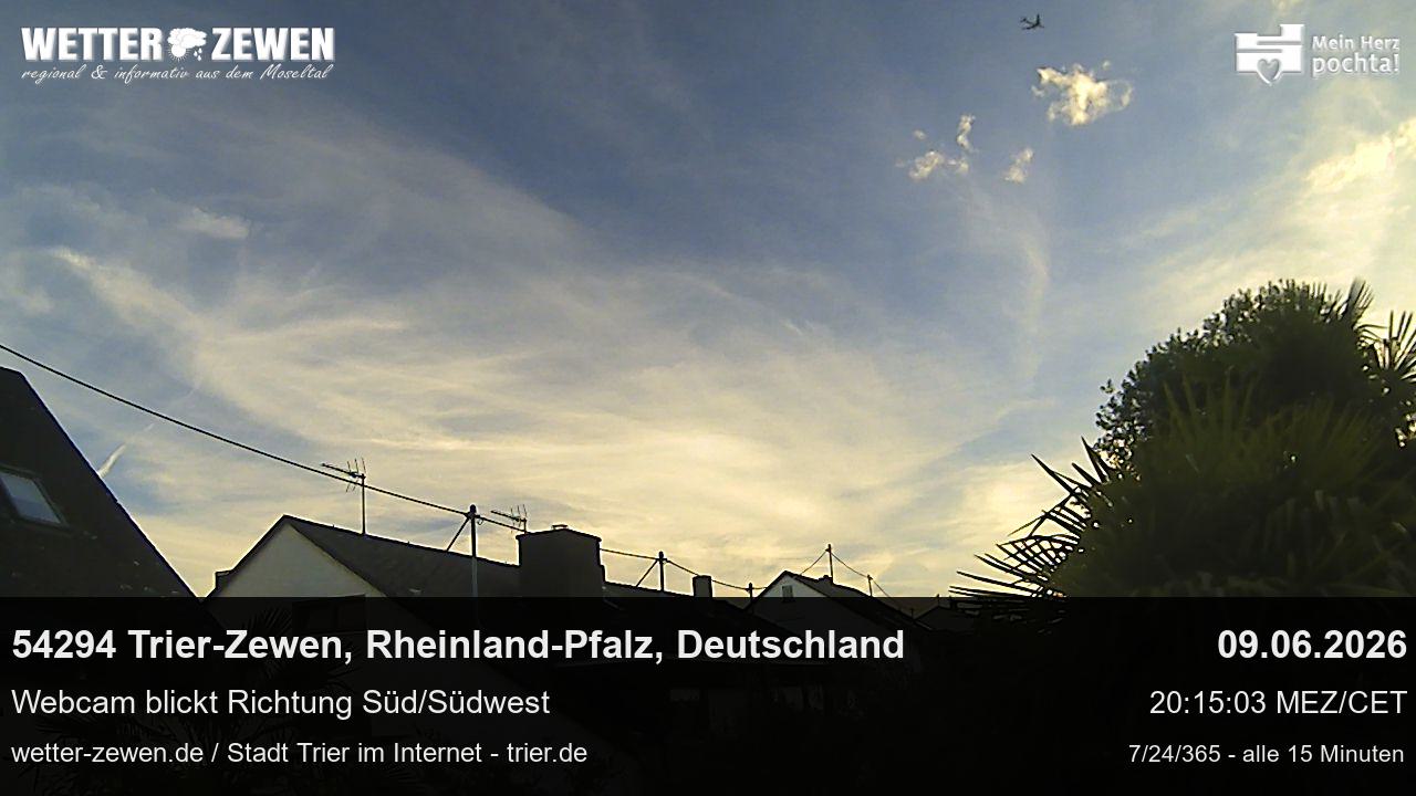 Bild