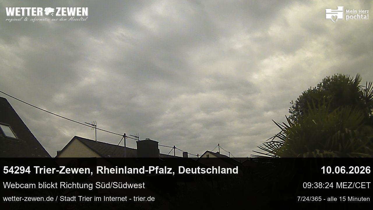 Bild