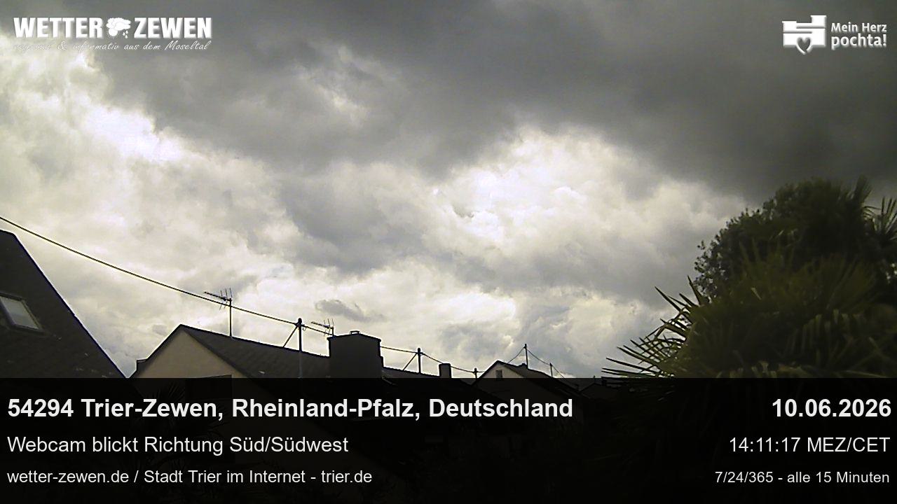 Bild