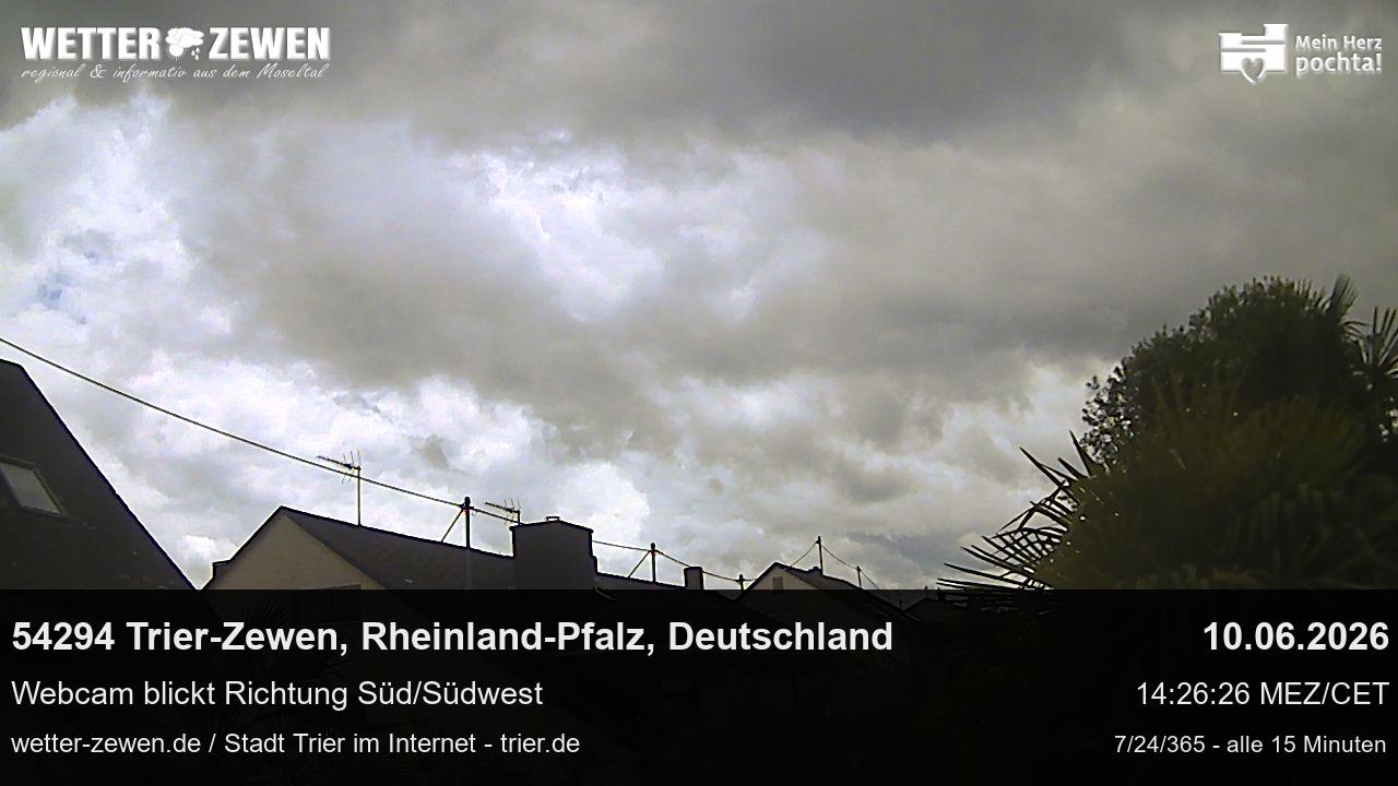 Bild