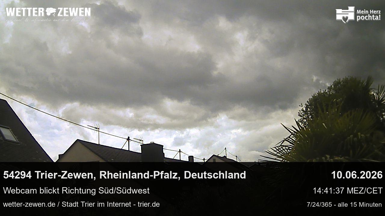 Bild
