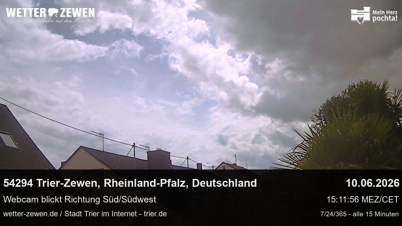 Bild