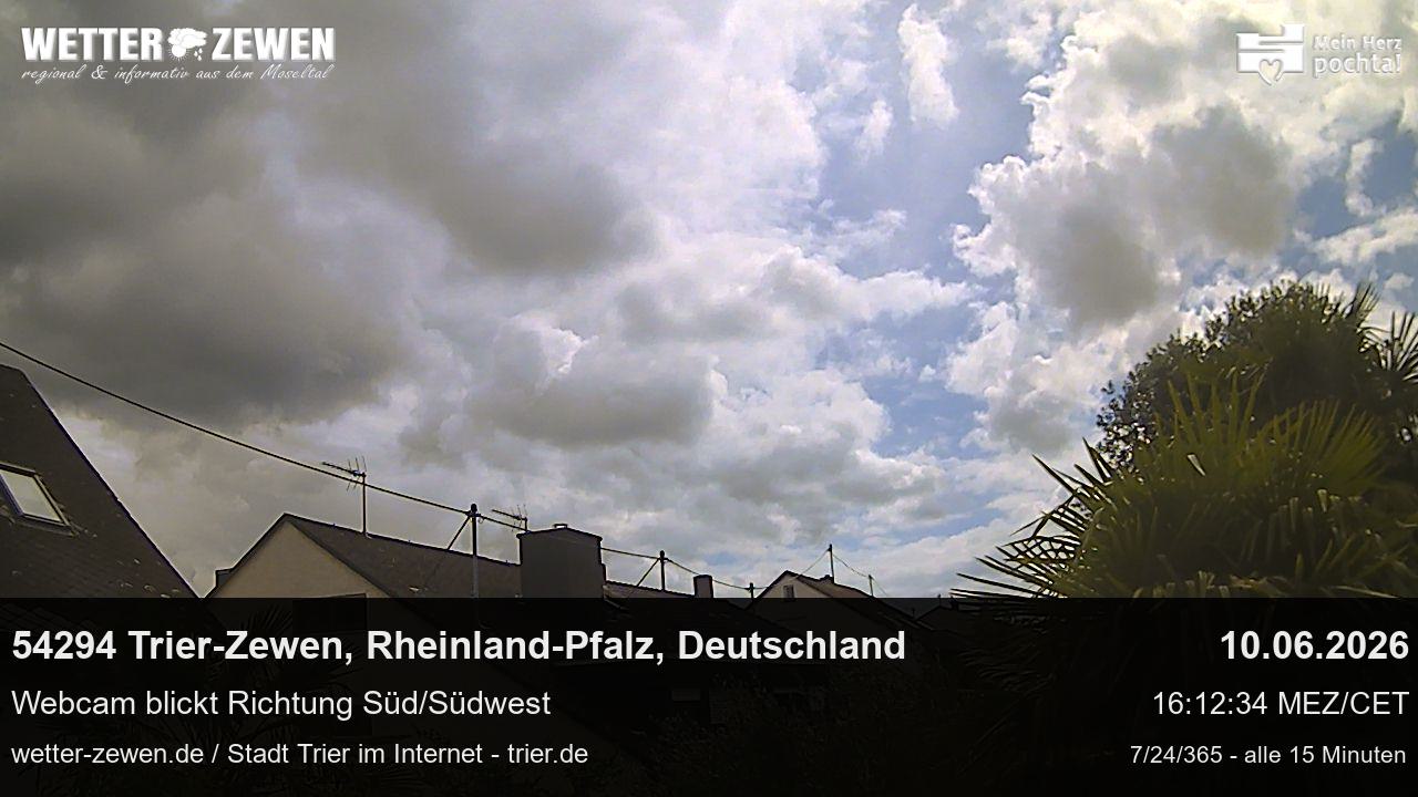 Bild