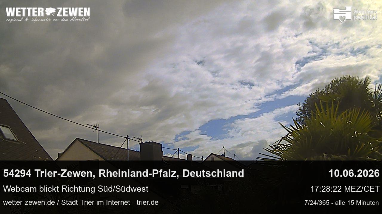 Bild