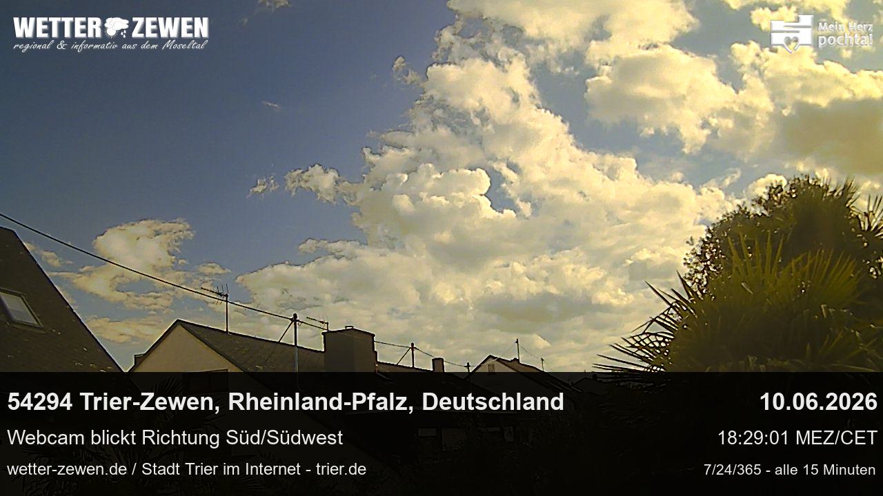 Bild