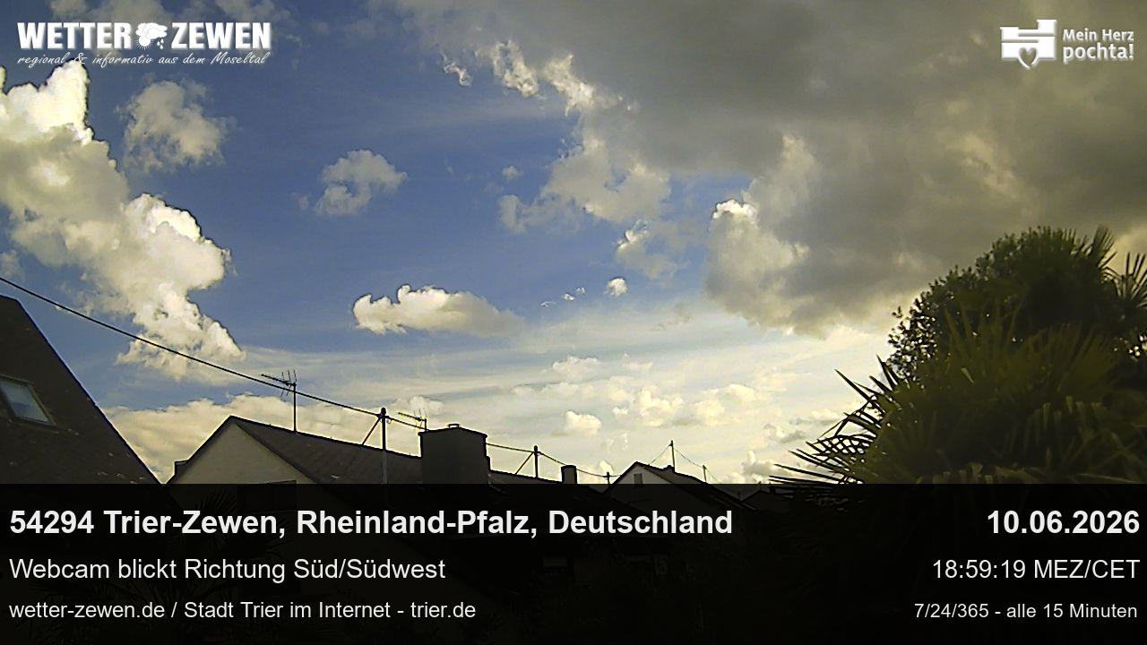 Bild