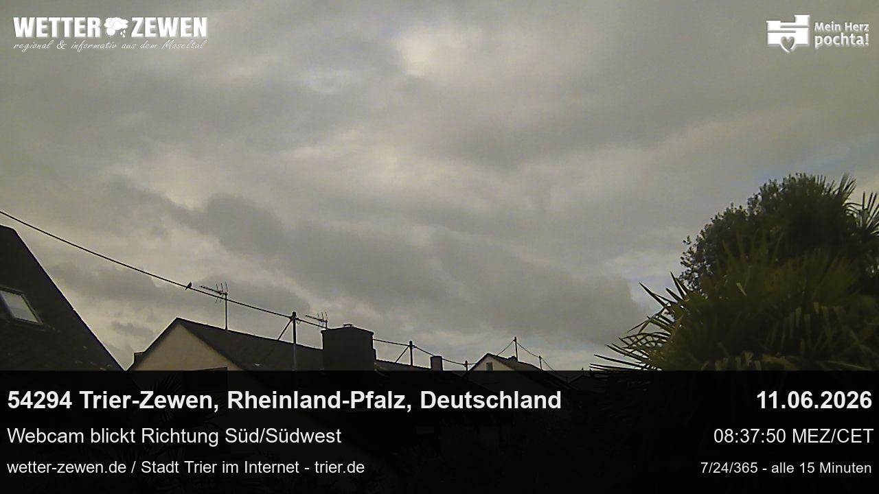 Bild