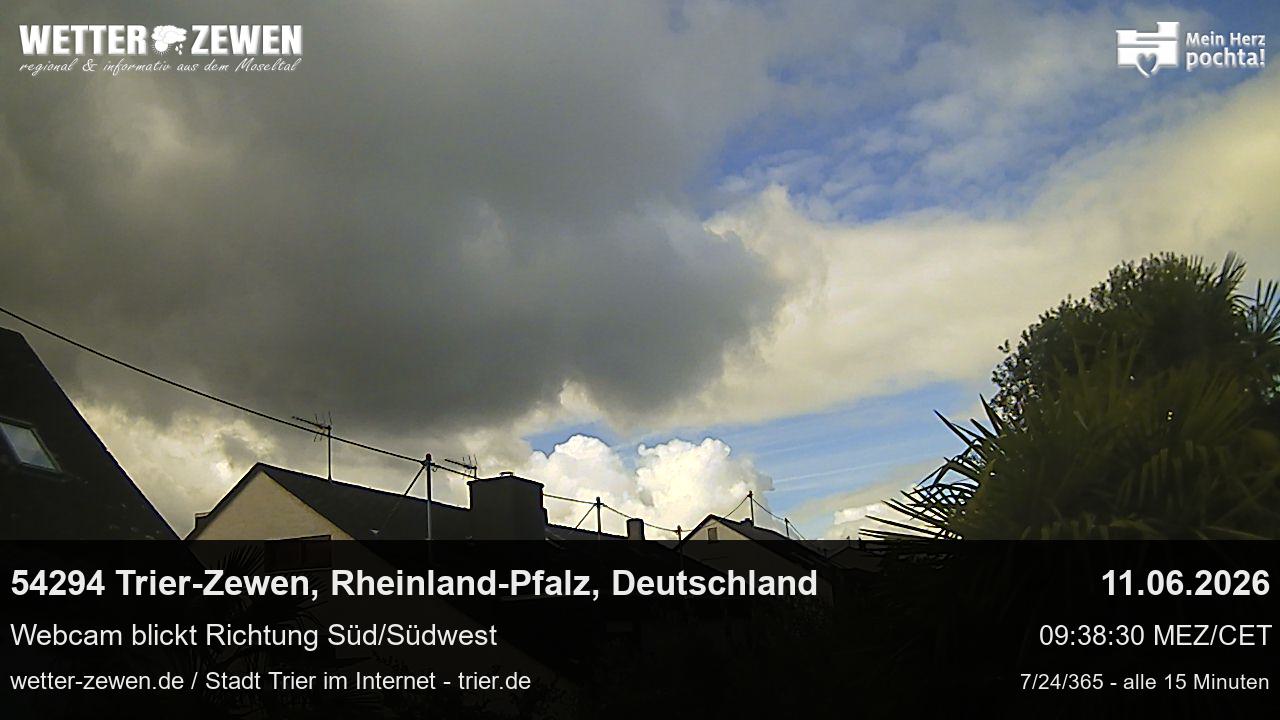 Bild