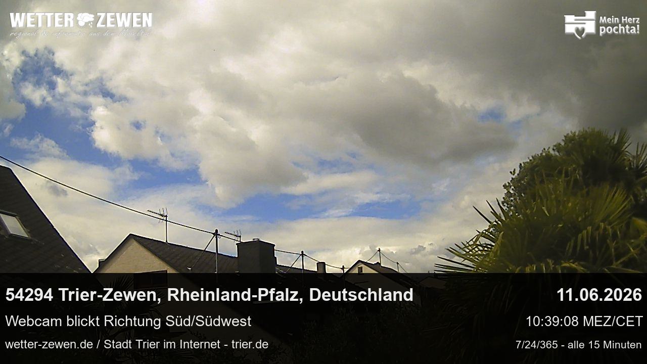 Bild