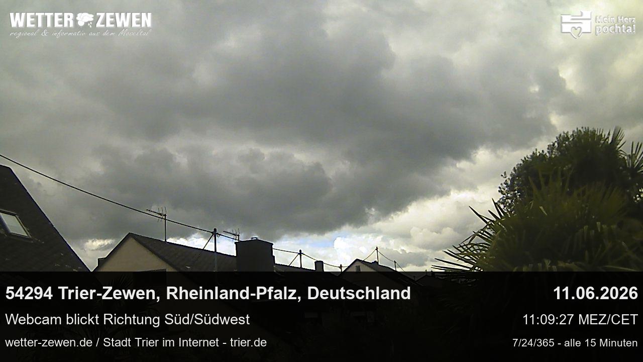 Bild