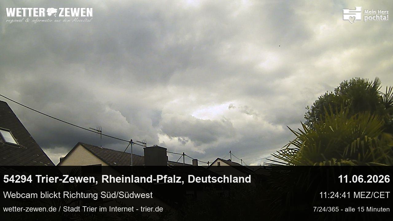 Bild