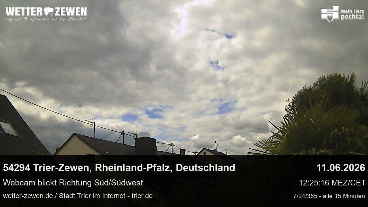 Bild