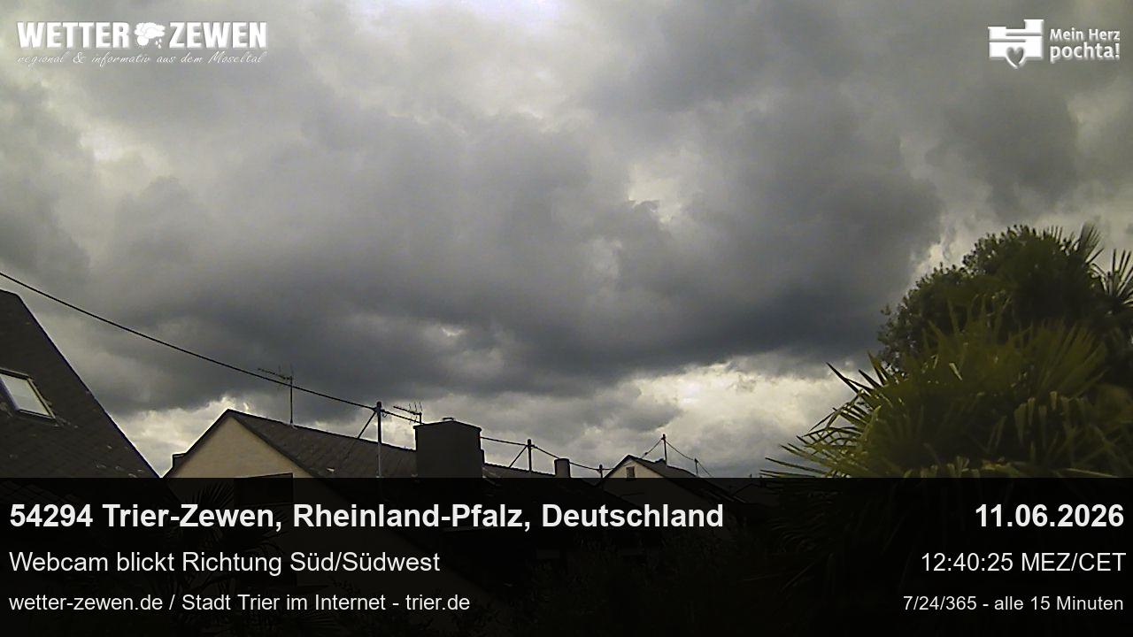 Bild