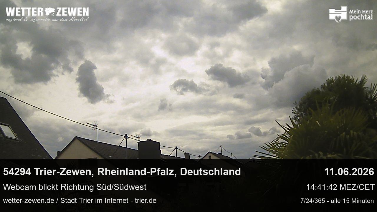 Bild