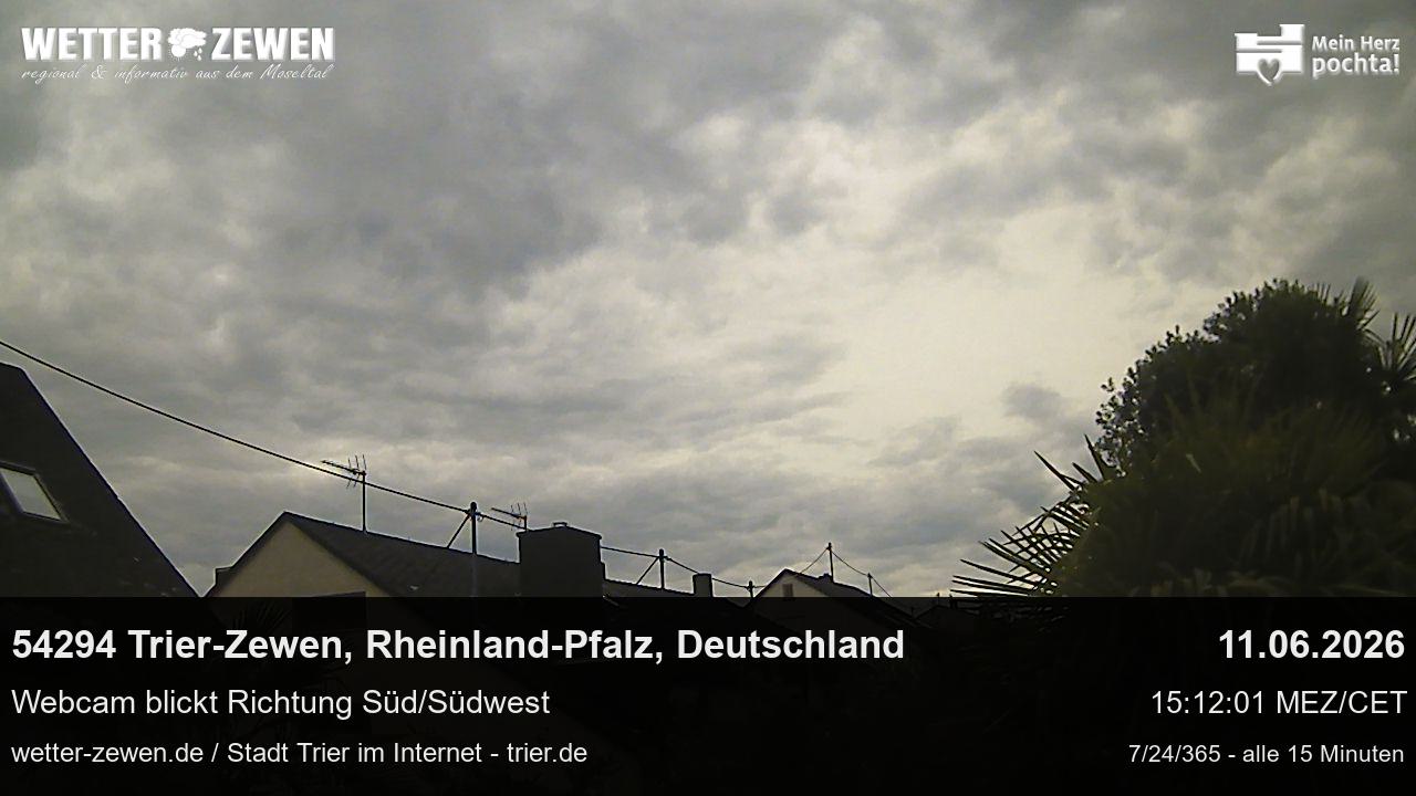 Bild