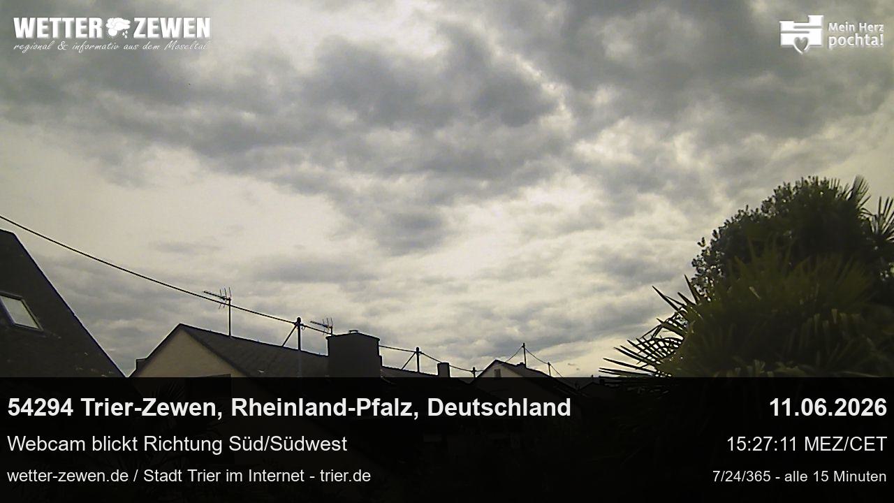 Bild