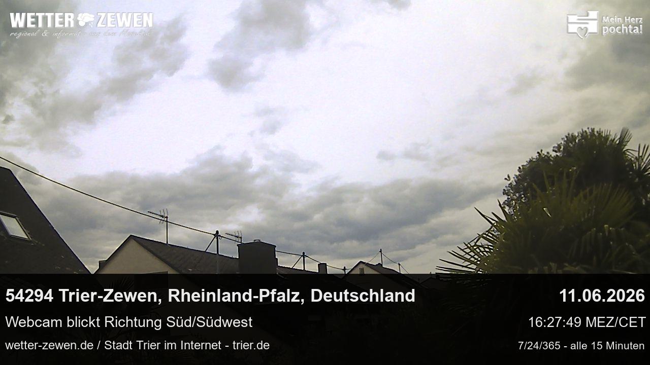 Bild