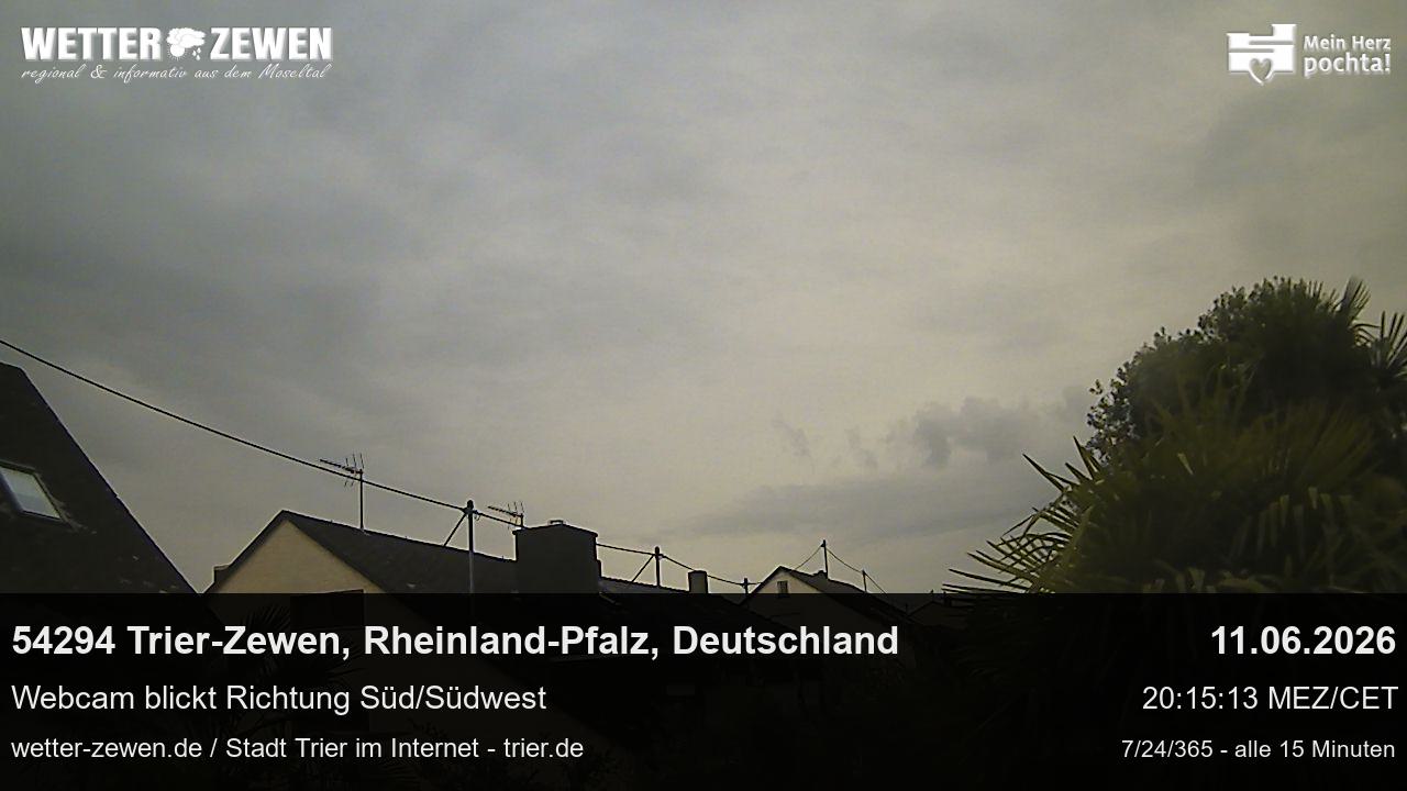 Bild