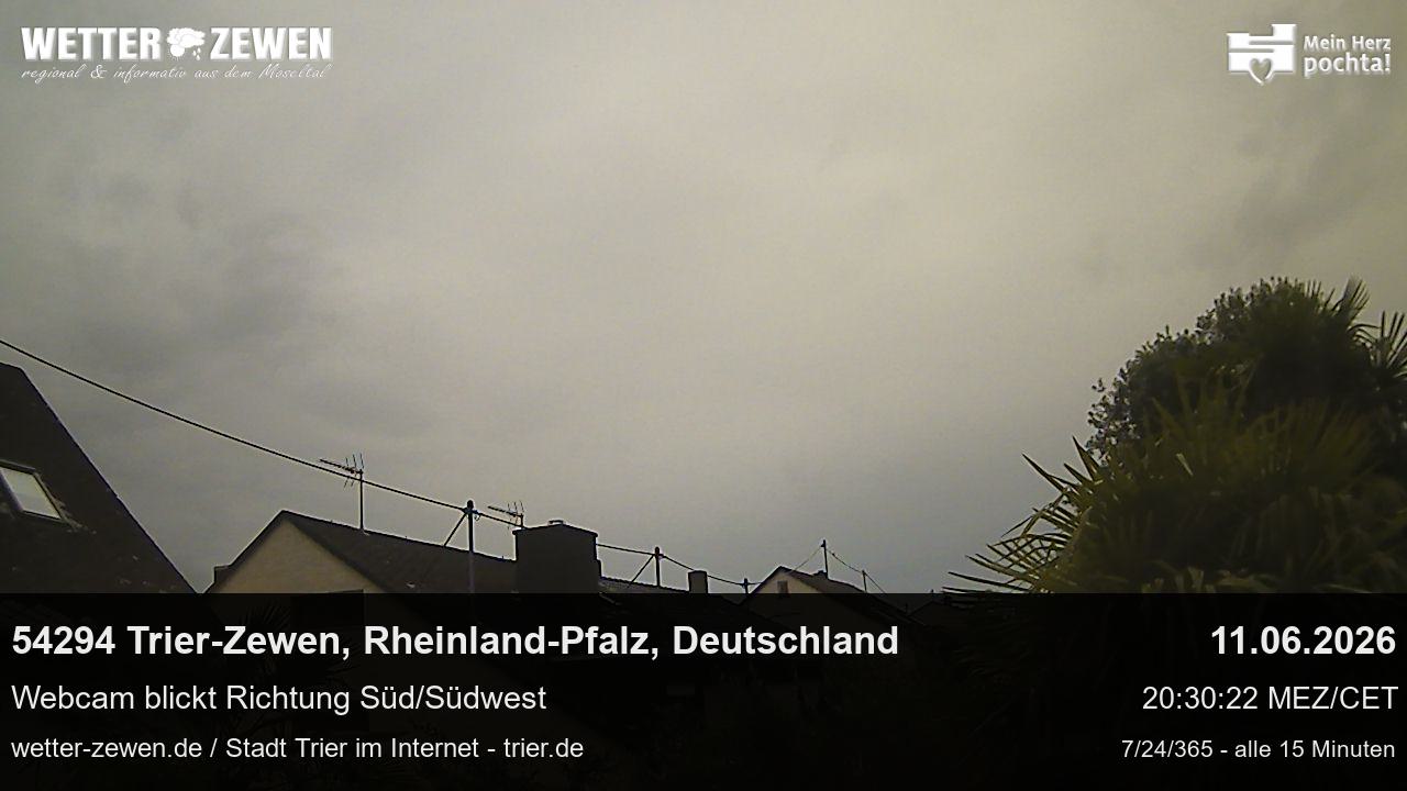 Bild