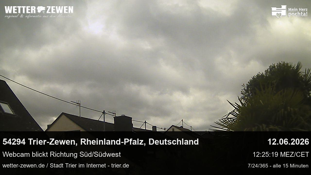 Bild