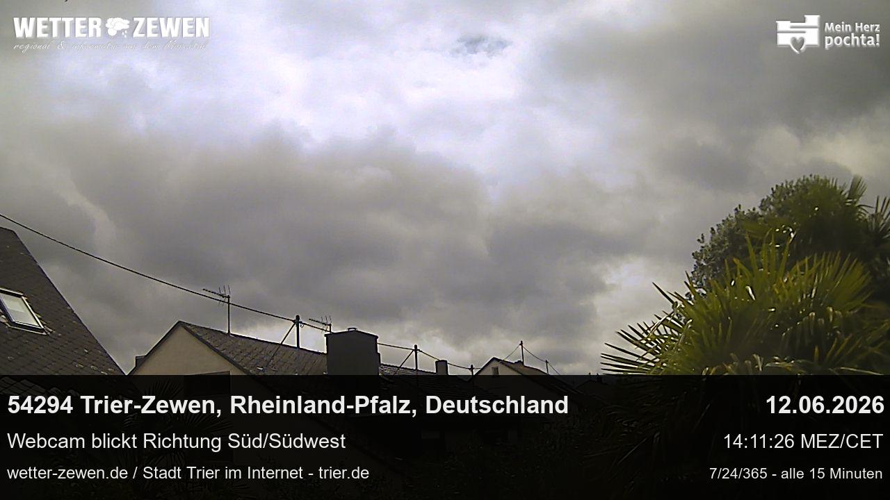 Bild