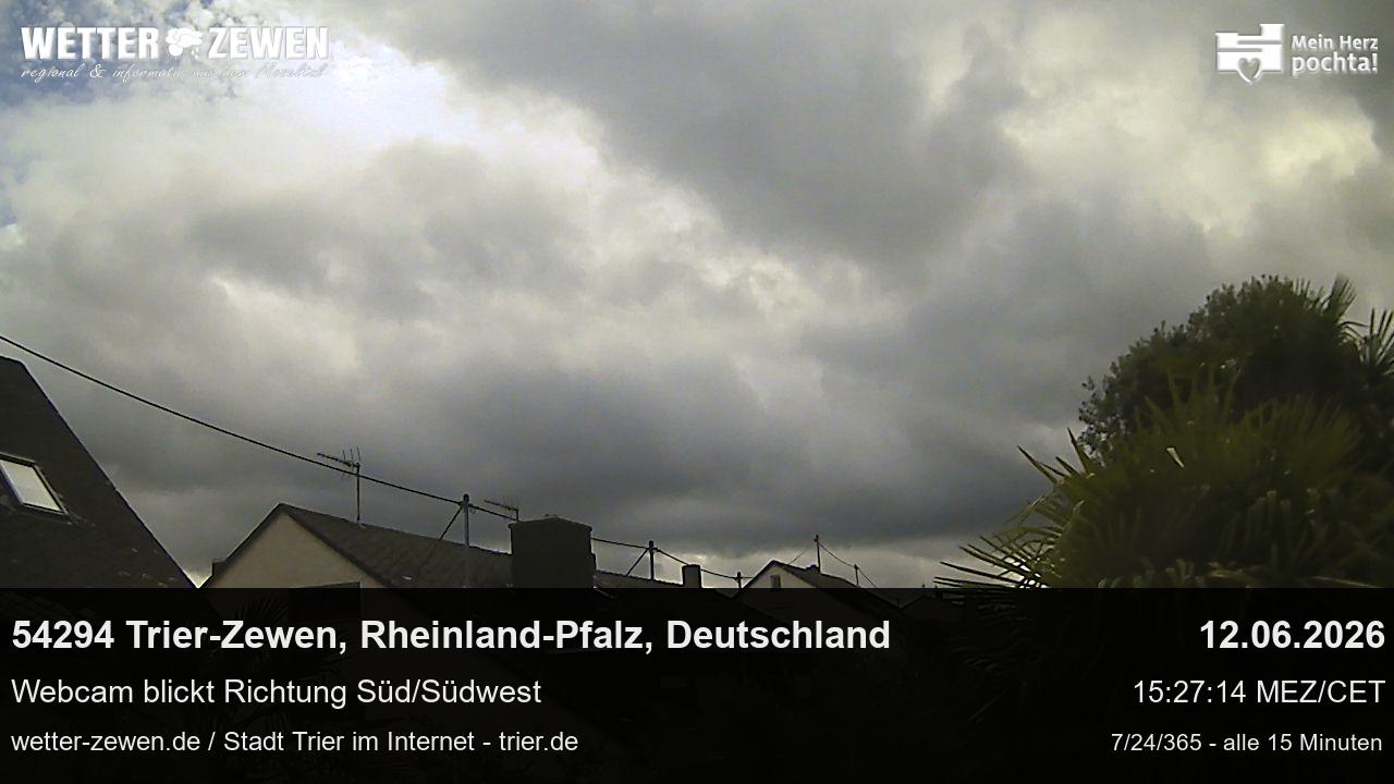 Bild