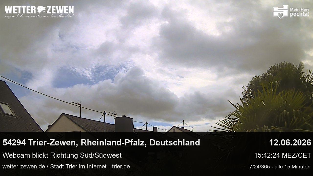 Bild