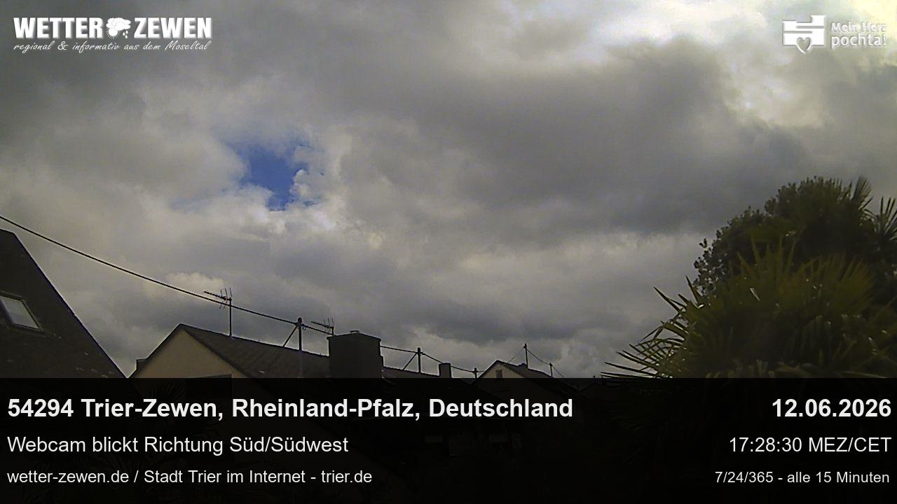 Bild